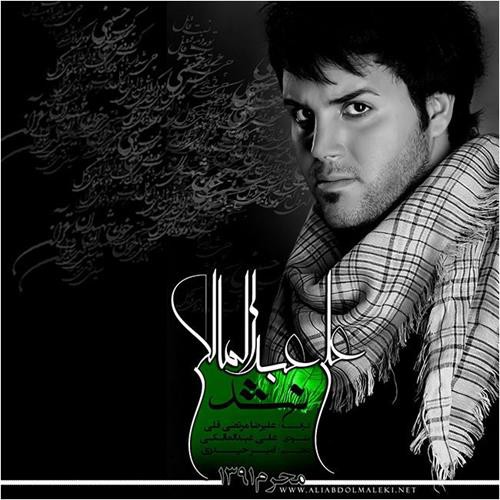 علی عبدالمالکی نشد