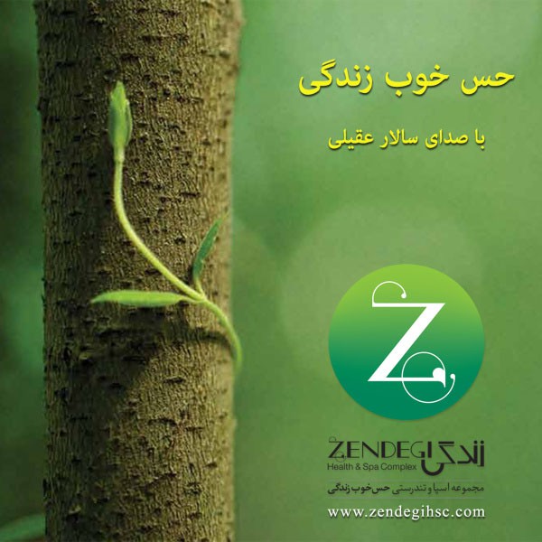 سالار عقیلی حس خوب زندگی