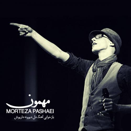 مرتضی پاشایی مهمون