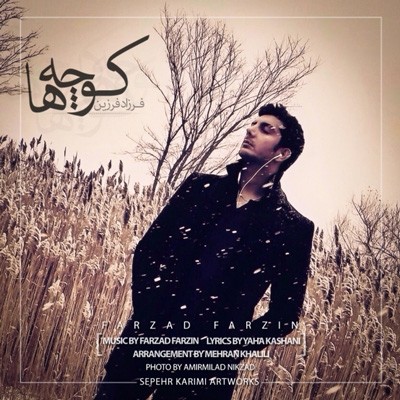 فرزاد فرزین کوچه ها