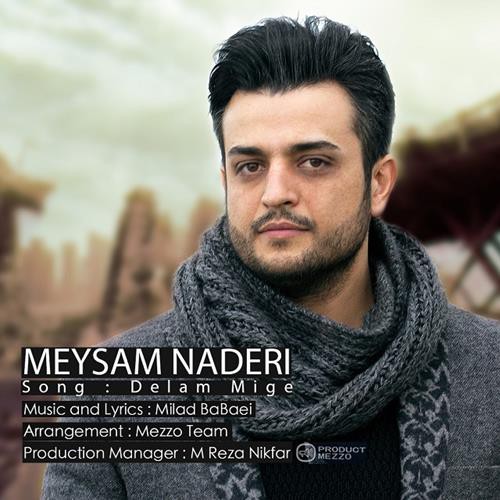 میثم نادری دلم میگه