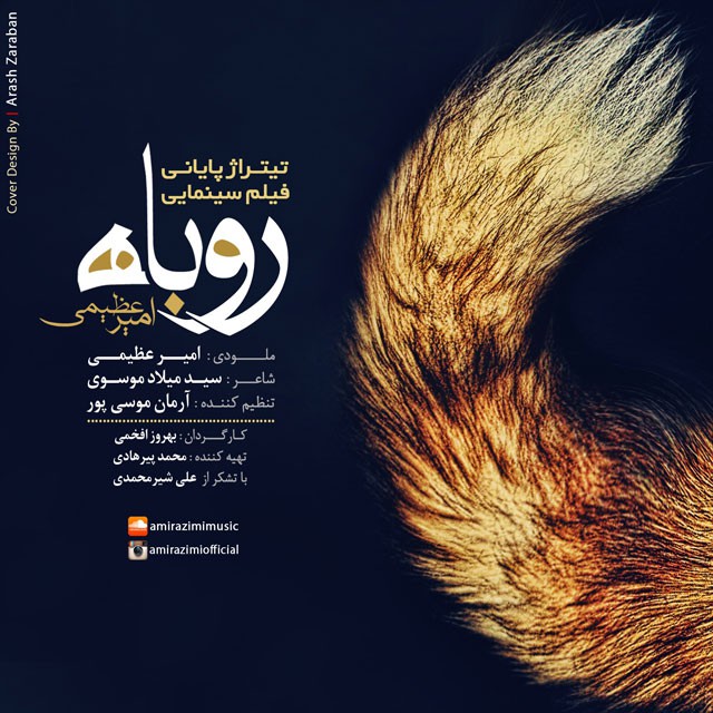 امیر عظیمی روباه