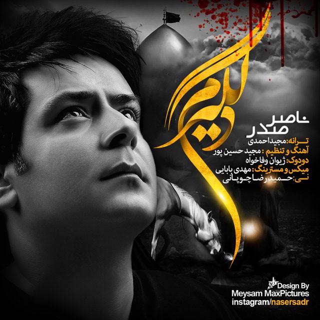 ناصر صدر ﻿دلگیرم