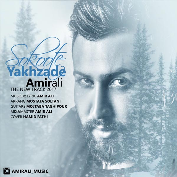 Amir Ali Sokoote Yakhzade