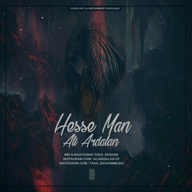 Ali Ardalan Hesse Man