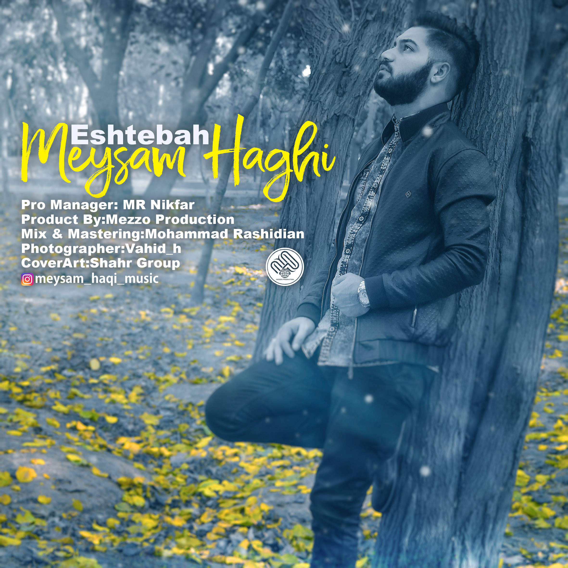 Meysam Haghi Eshtebah