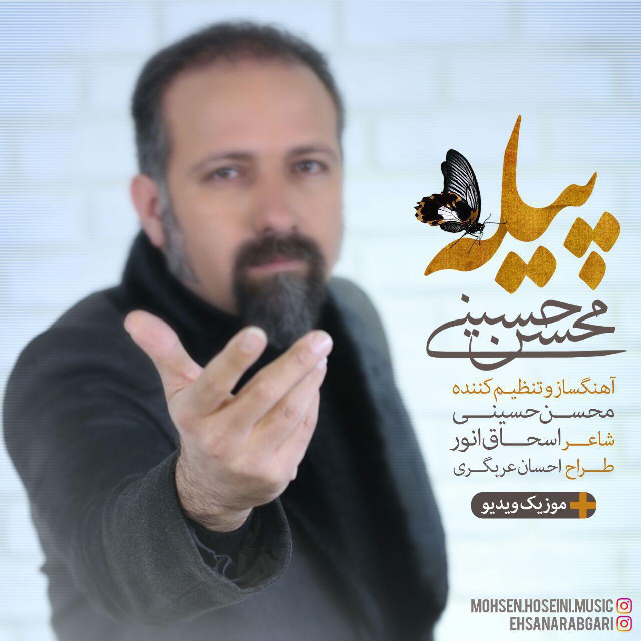 Mohsen Hosseini Pileh