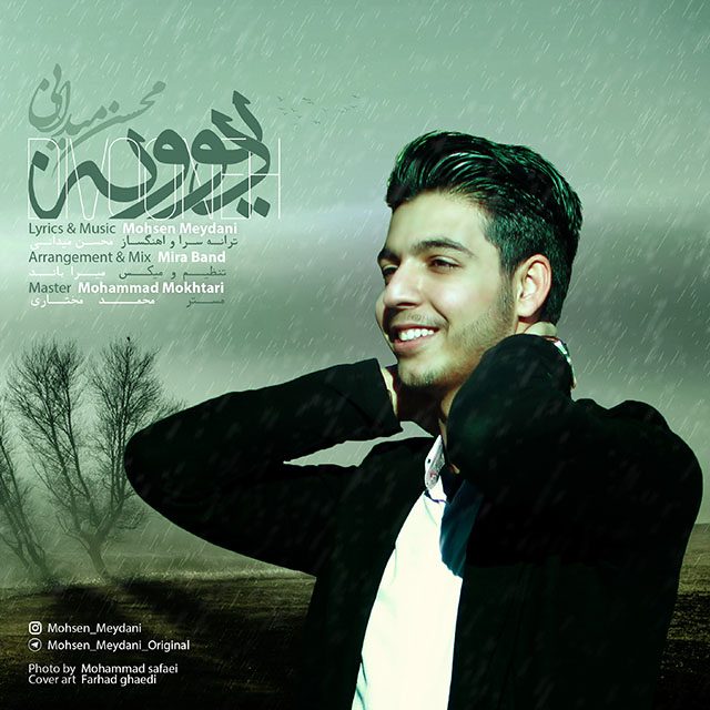 Mohsen Meydani Divooneh