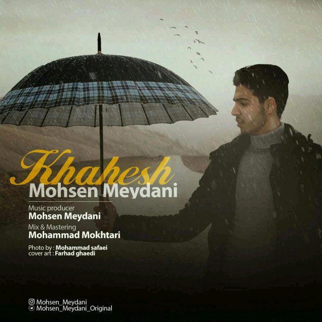 Mohsen Meydani Khahesh