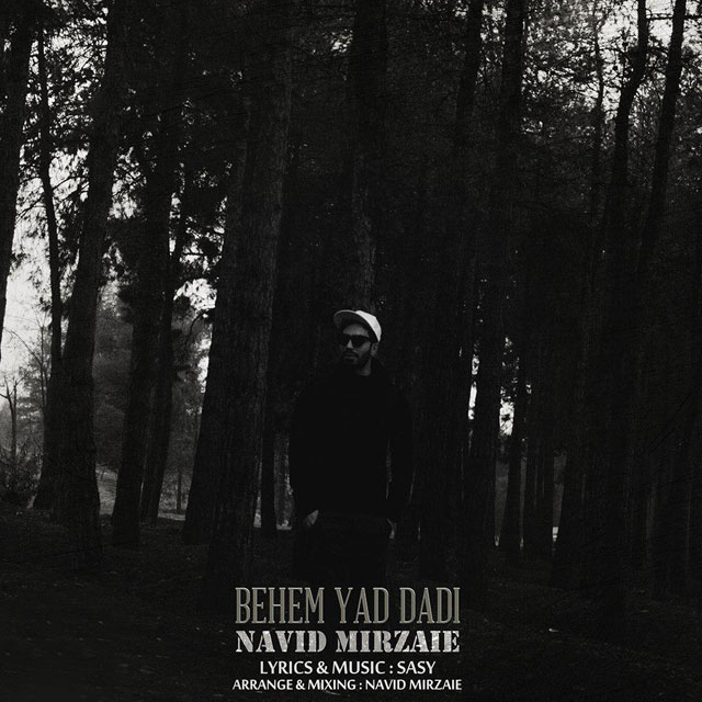 Navid Mirzaie
