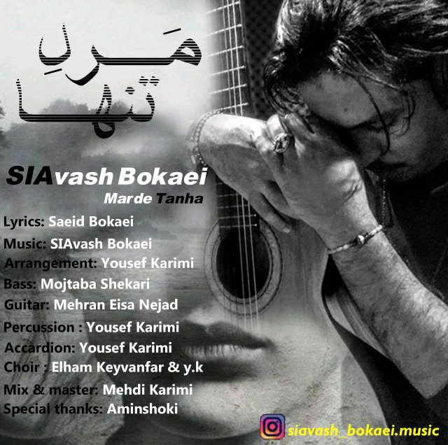 Siavash Bokaei Marde Tanha