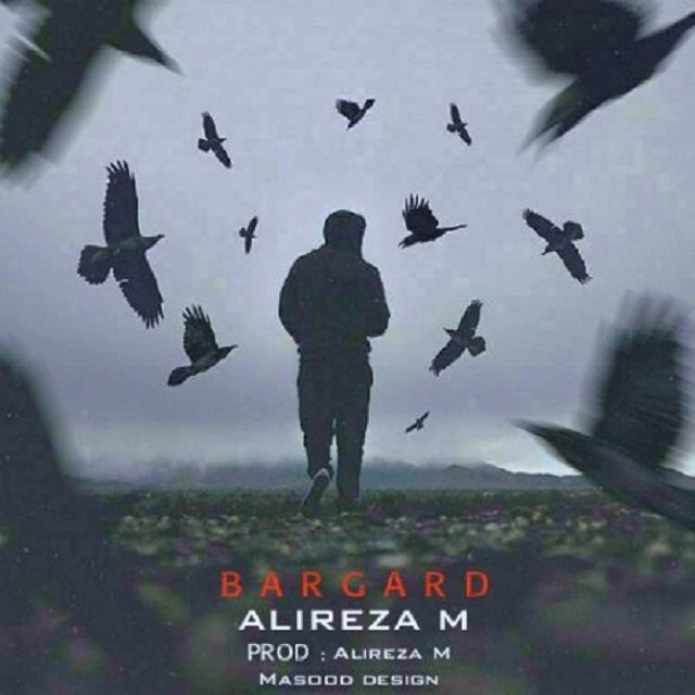 Alireza M Bargard