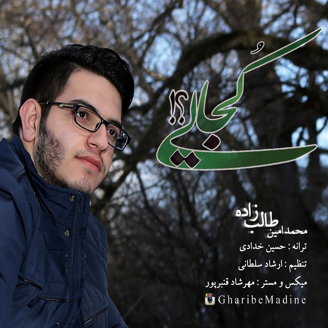 Amin Talebzadeh Kojaee