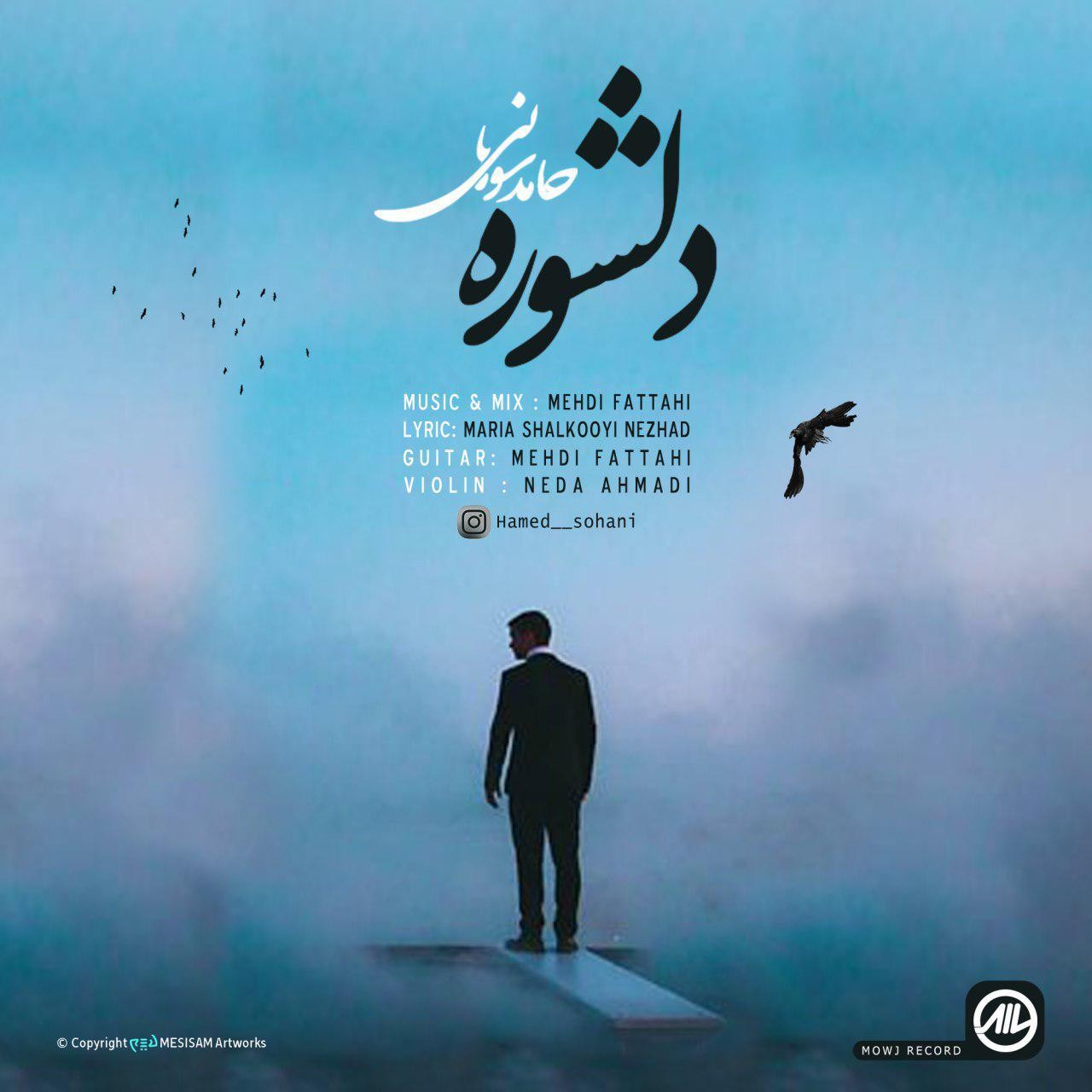 Hamed Sohani Delshure