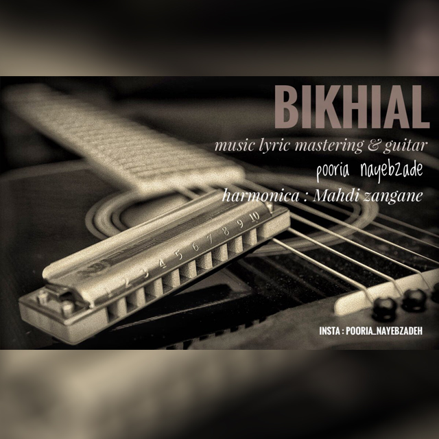 Pooria Nayebzade Bikhial