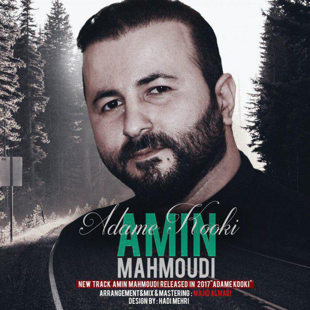 امین محمودی آدم کوکی
