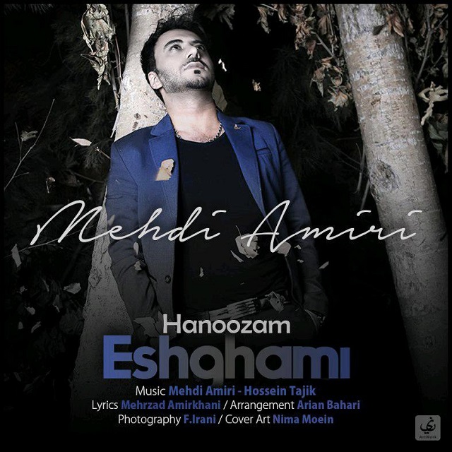 Mehdi Amiri