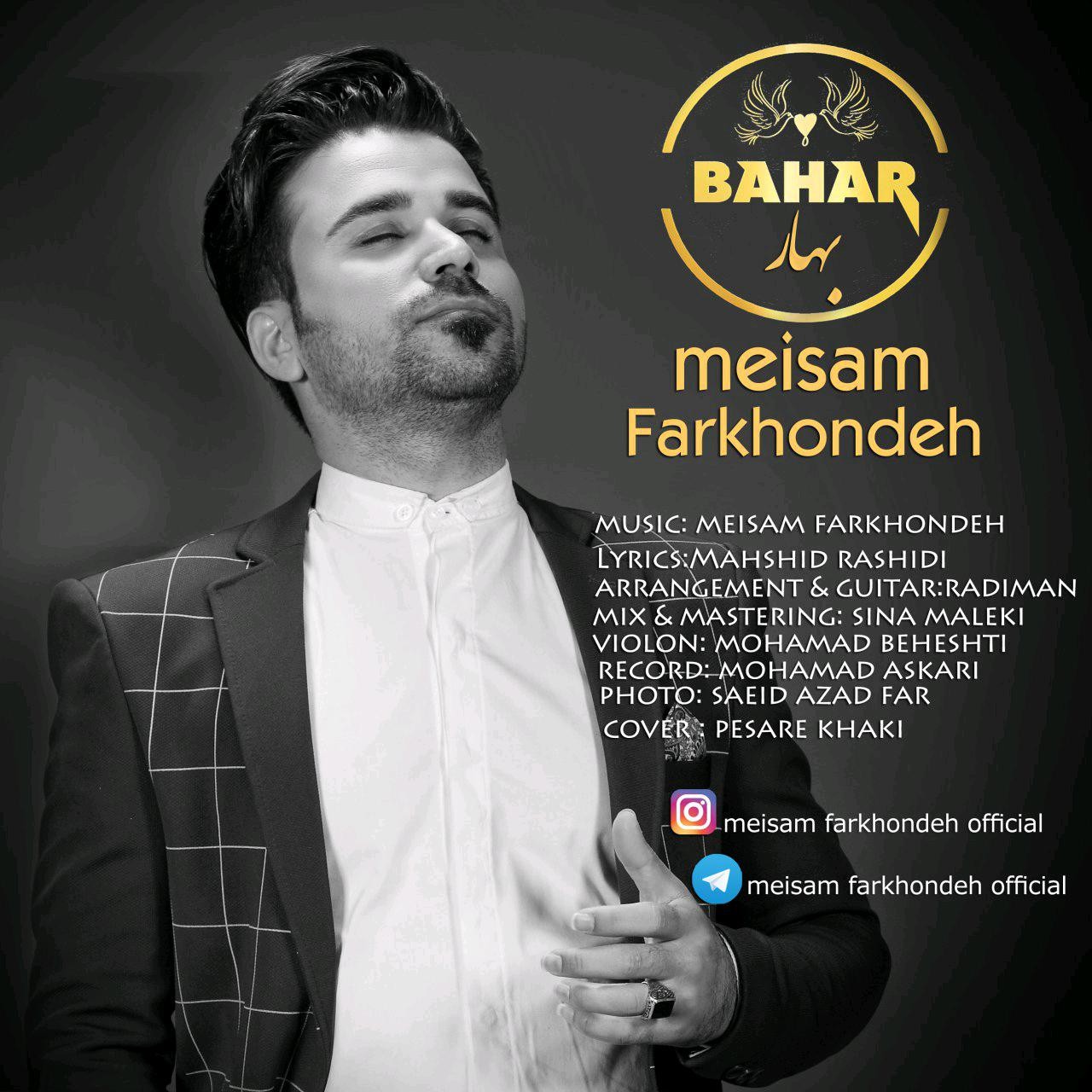 میثم فرخنده بهار