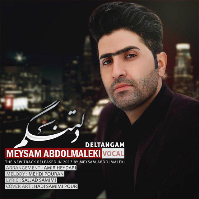میثم عبدالمالکی دلتنگم