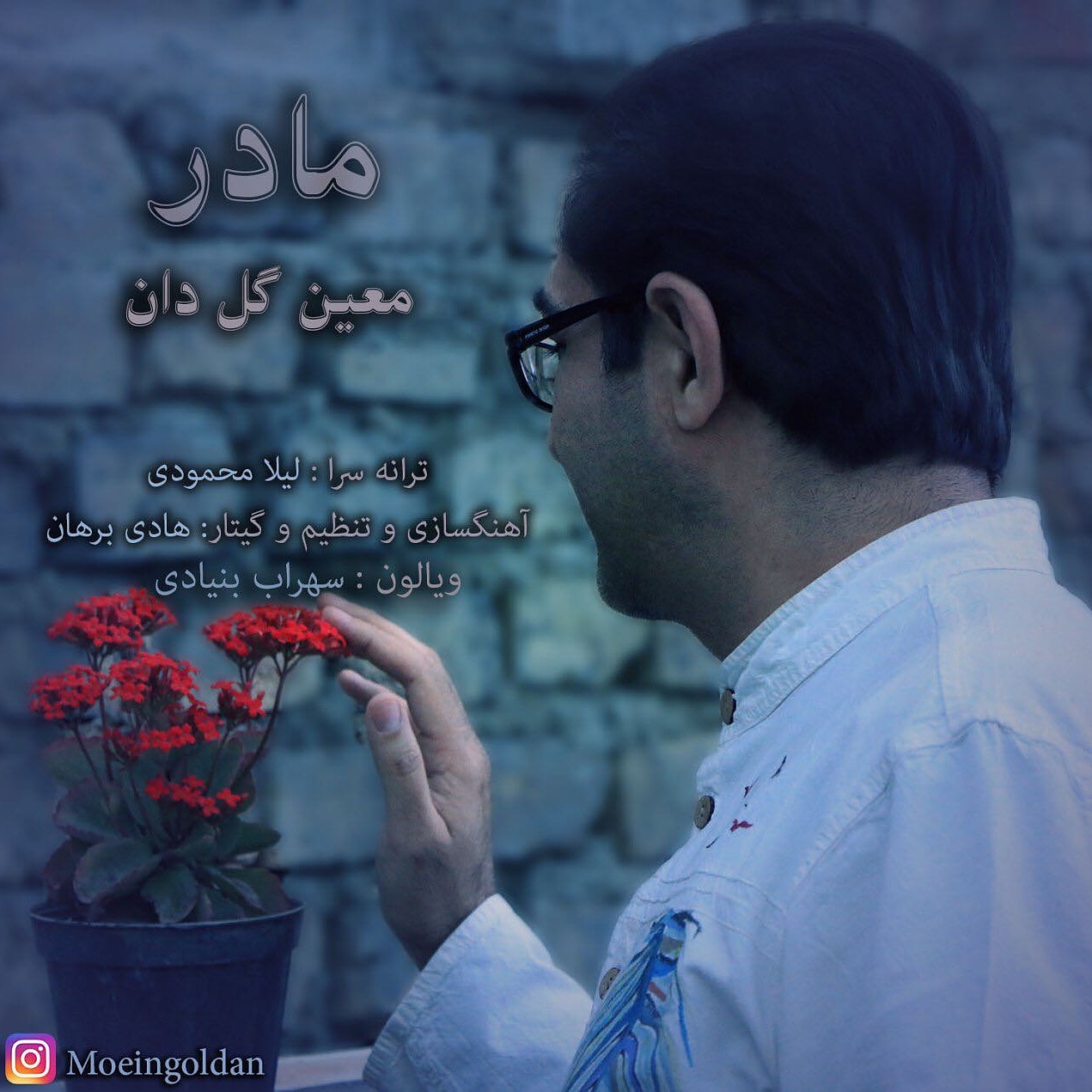 محمد گل دان مادر