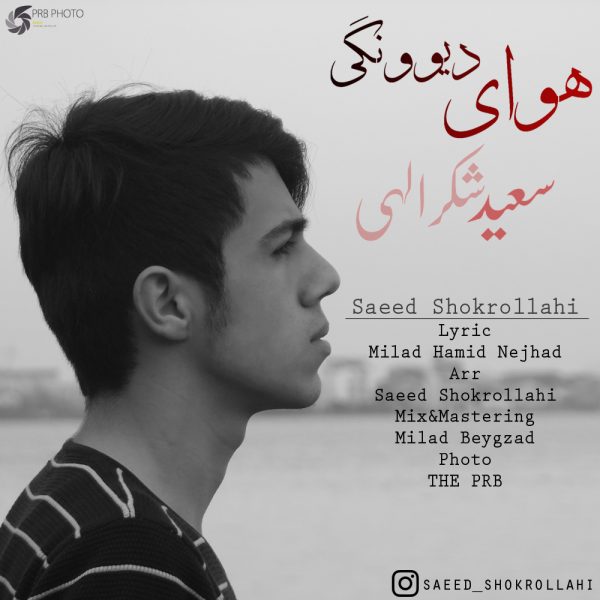 سعید شکرالهی