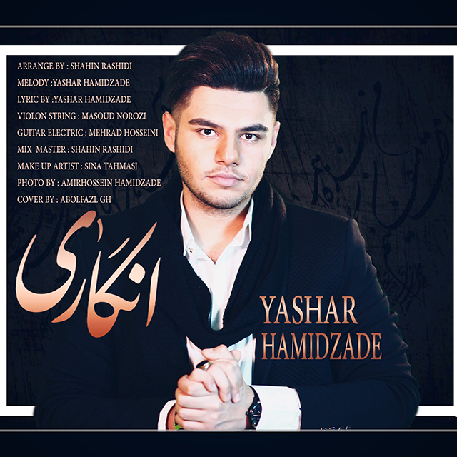 یاشار حمیدزاده انگاری