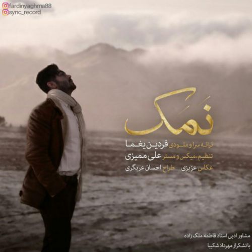 فردین یغما نمک
