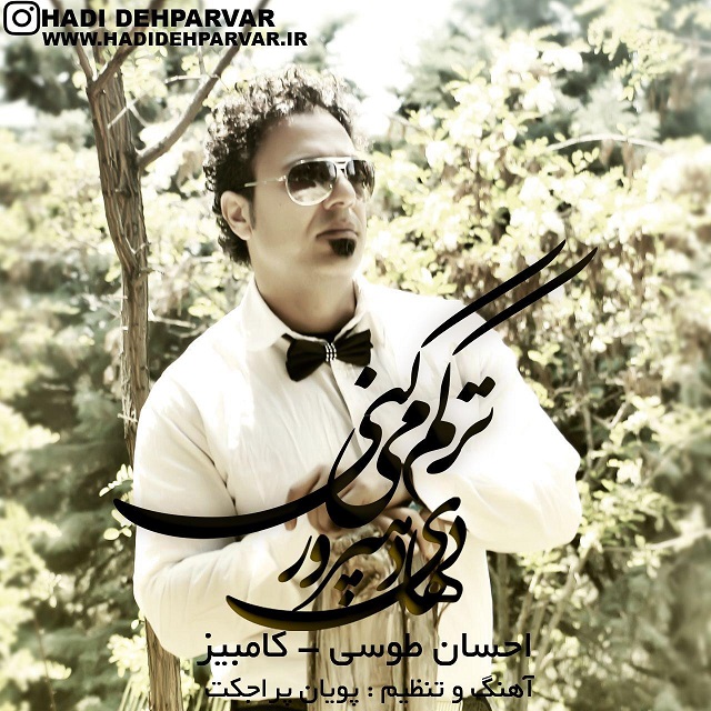 هادی دهپرور و احسان طوسی و کامبیز ترکم میکنی