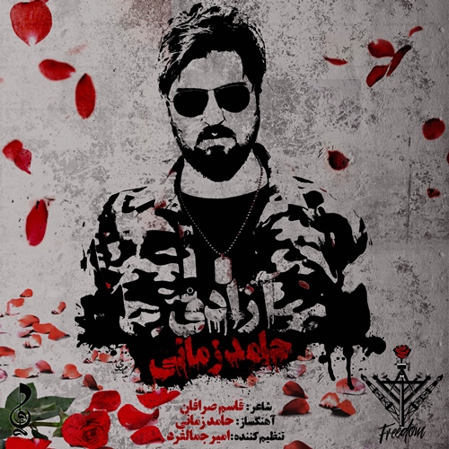 حامد زمانی آزادی