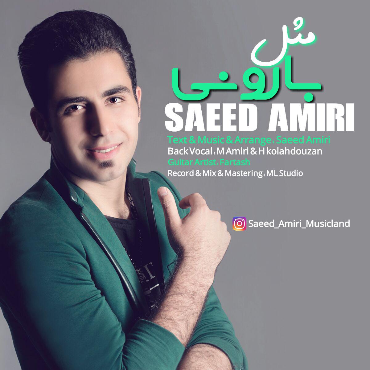 سعید امیری