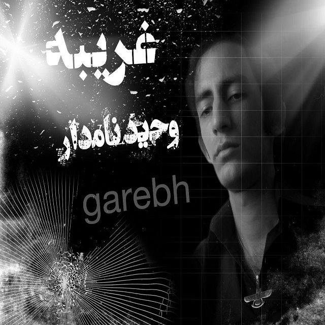 وحید نامدار غریبه