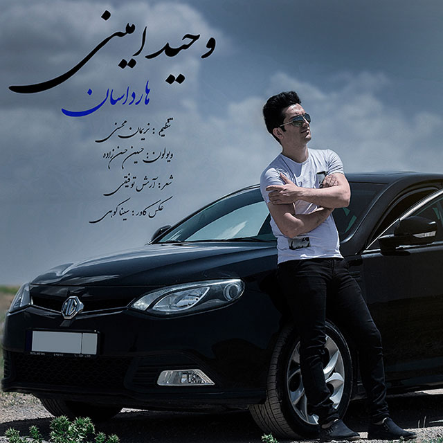 وحید امینی هارداسان