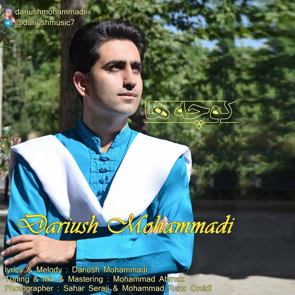 داریوش محمدی کوچه ها