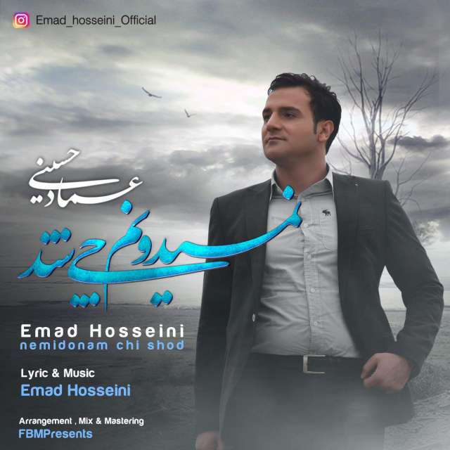 عماد حسینی نمیدونم چی شد