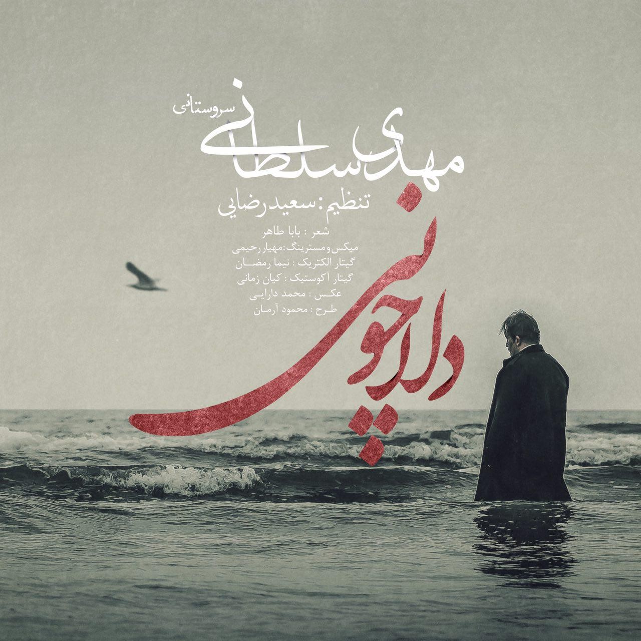 مهدي سلطاني دلا چوني
