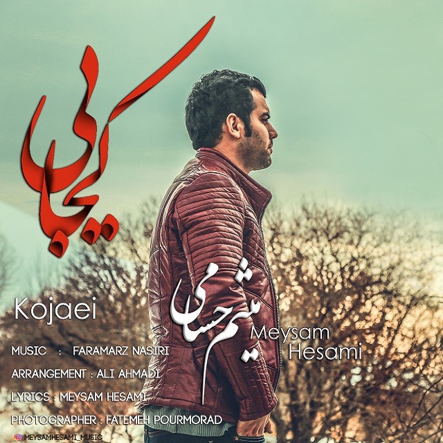 میثم حسامی کجایی