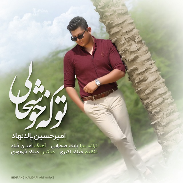 امیرحسین پاک نهاد تو که خوشحالی
