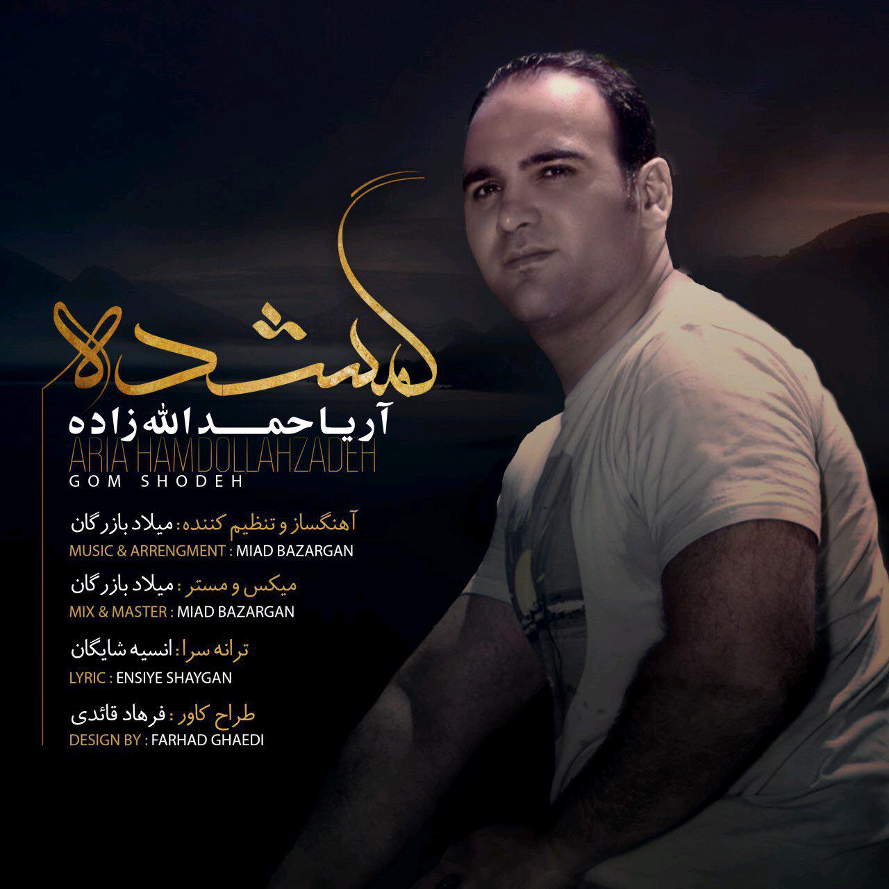 آریا حمدالله زاده گمشده