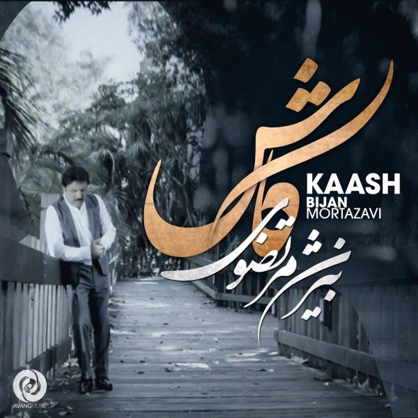 بیژن مرتضوی کاش