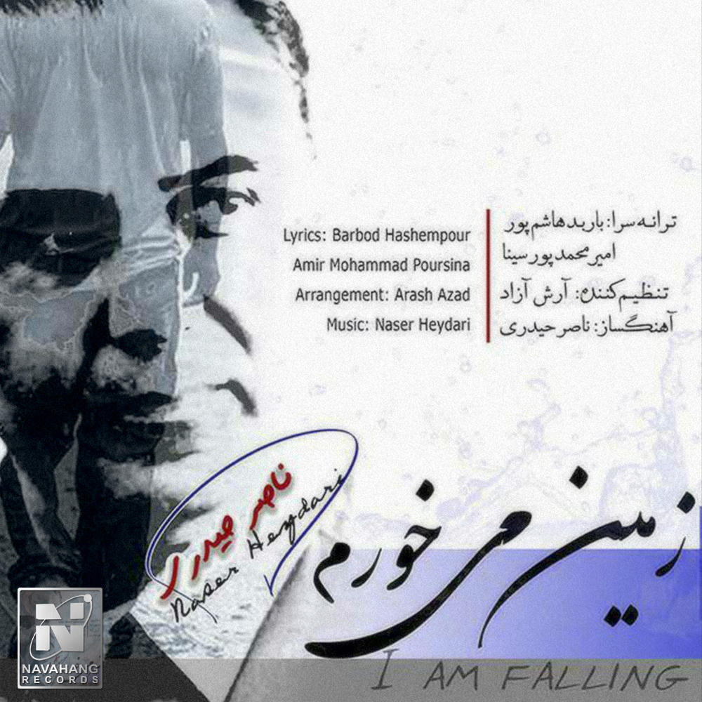 ناصر حیدری زمین میخورم