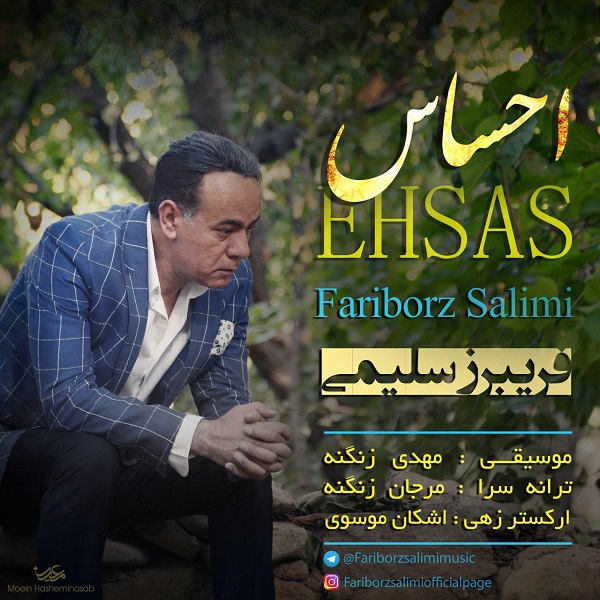 فریبرز سلیمی احساس