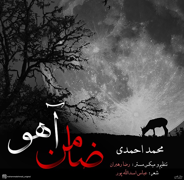 محمد احمدی ضامن آهو