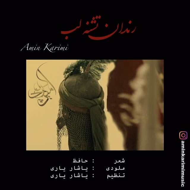 امین کریمی رندان تشنه لب