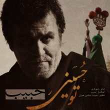 حبیب تو حسینی