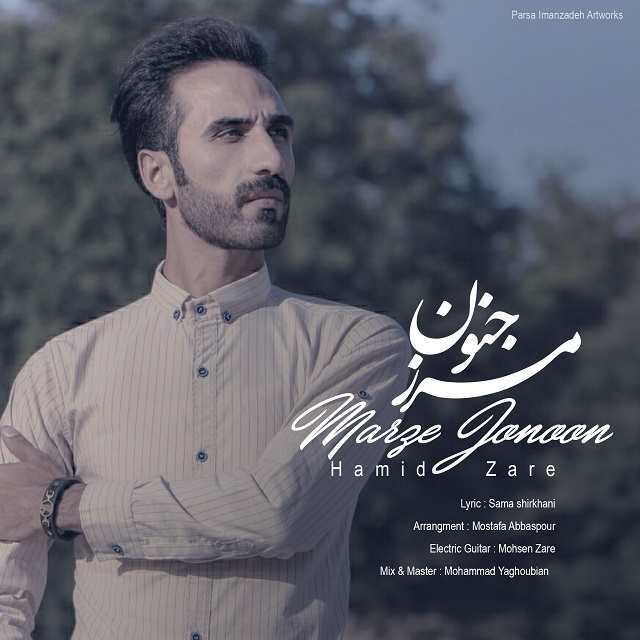 حمید زارع مرز جنون