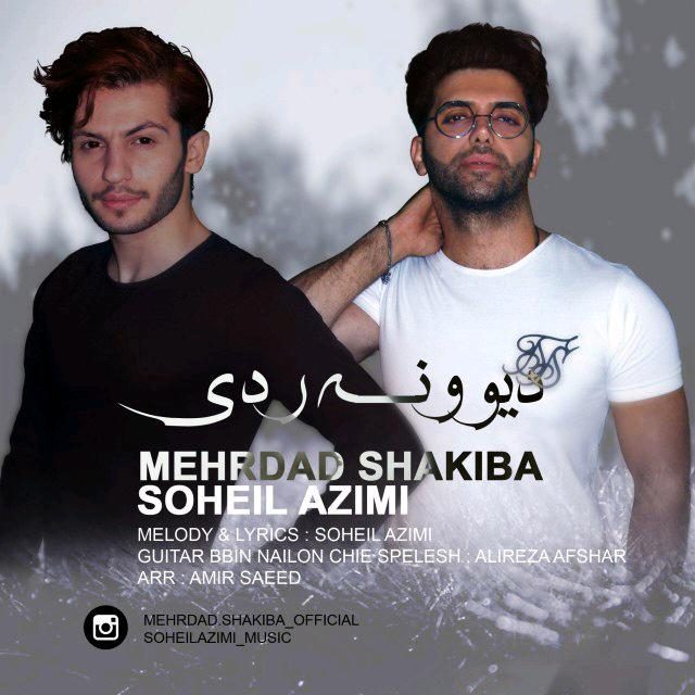 مهرداد شکیبا و سهیل عظیمی دیوونه ردی