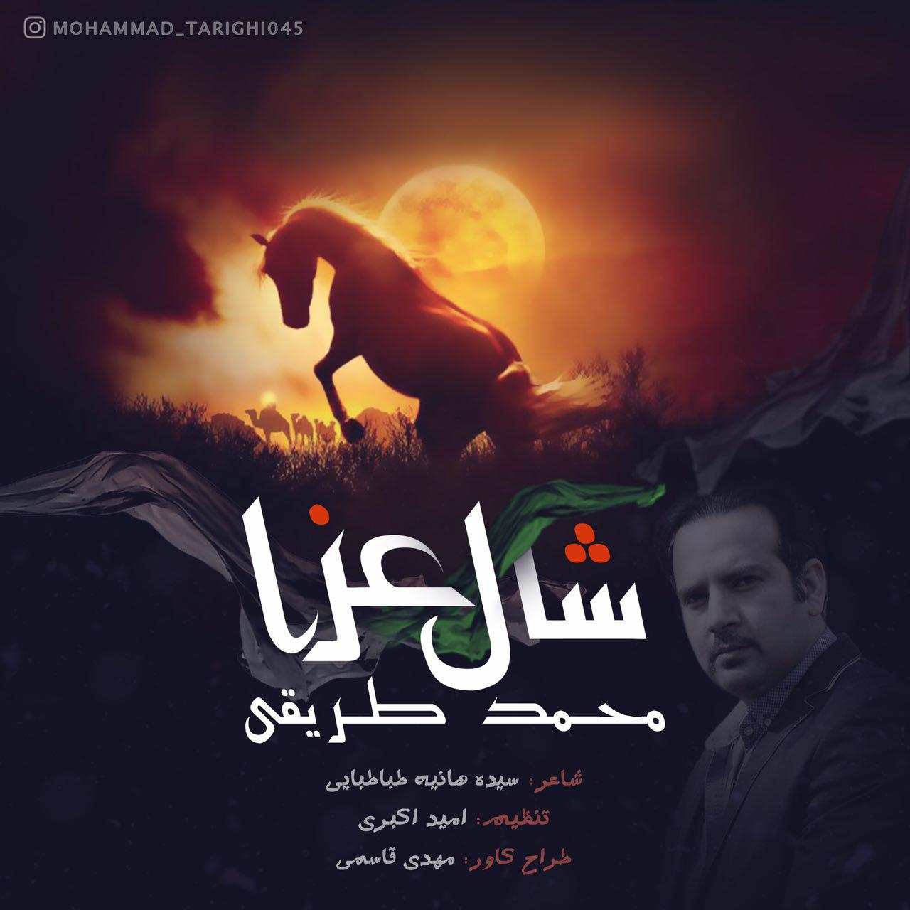 محمد طریقی