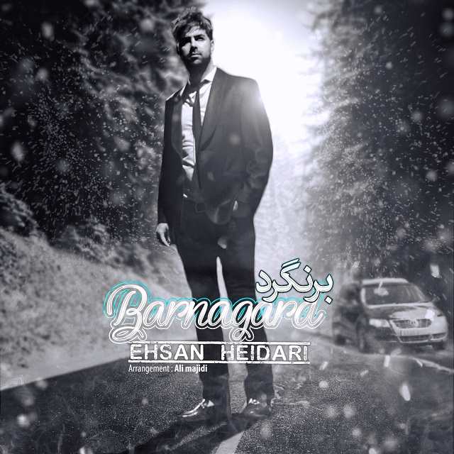 احسان حیدری برنگرد