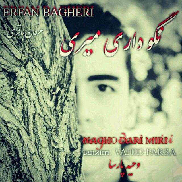 عرفان باقری