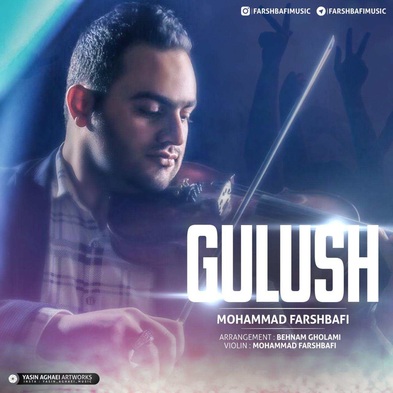 محمد فرشبافی گولوش